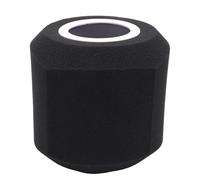 Katnetoly Microfono con Filtro Anti- Acustico per Studi di Registrazione, in Schiuma Fonoassorbente per La Maggior Parte dei Microfoni, Supporto B