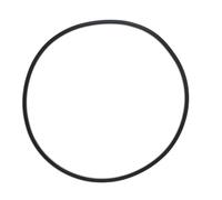 Katnetoly O-Ring del Serbatoio del Filtro della Piscina per 27001-0061S O-484 per Le Parti di Ricambio della Pompa della Piscina del Filtro della Piscina Spa- PLM100