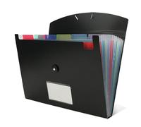 Katnetoly Organizzatore di File Accordian Cartella di File Espandibile con 13 Tasche Cartella di File Espandibile In Plastica Colore Interno Nero