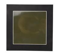 Katnetoly Pellicola per La Visualizzazione Campo Magnetico da 4 X 4 Pollici, Visualizzatore Campo Magnetico, Display Flusso Magnetico, Rilevatore di Pattern Magnetici, per Uso Scientifico