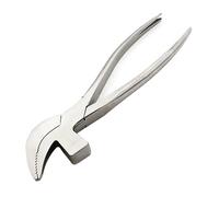 Katnetoly Pinza A Becco D'Acciaio Inossidabile - Pinza Ad Ago per Rimozione Chiodo per Calzolai Fai-Da-Te, Riparazione di Tecnologie In Pelle