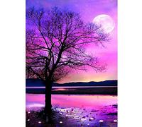 Katnetoly Pittura Diamante 5D DIY con Kit di Numeri, Pittura per Ricamo con Strass di Un Punta Piena di Diamanti con Diamanti