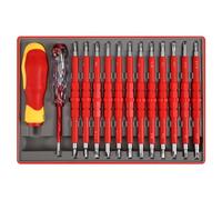 Katnetoly Set di Cacciaviti Elettrici Professionali da 26 Pezzi da 1000 V, Accessorio per Uomo con