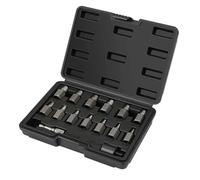 Katnetoly Set di Estrattori per A Doppia Testa da 15 Pezzi, Kit di Rimozione Bulloni Easy Out, Testa Esagonale Multi-Spline da 3/8 di Pollice