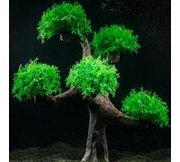 Katnetoly Simulazione di Acquario con Muschio, Ornamento per Albero di Pesce, Decorazione Paesaggistica per Acquario