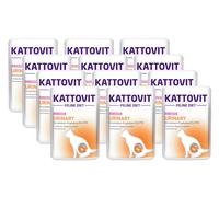 Kattovit Urinary salmone 12x85g bustina