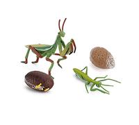 Katutude Modello dinsetto Giocattolo Insetti 3D modelli realistici Bambini modello Animale in Plastica Bambini Aiuti didattici Bambini Biologia Scienza per Bambini Da 5 a 12 Anni(Mante Religioso)