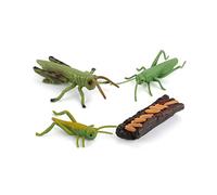 Katutude Modello dinsetto Giocattolo Insetti 3D modelli realistici Bambini modello Animale in Plastica Bambini Aiuti didattici Bambini Biologia Scienza per Bambini Da 5 a 12 Anni(Salterello)