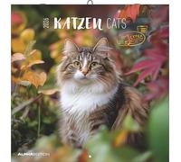 Katzen 2026 - Broschürenkalender 30x30 cm (30x60 geöffnet) - Kalender mit Platz für Notizen - Cats - Bildkalender - Wandplaner - Katzenkalender: Cats