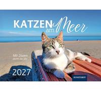 Katzen am Meer 2027