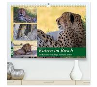 Katzen im Busch (hochwertiger Premium Wandkalender 2026 DIN A2 quer), Kunstdruck in Hochglanz: Großkatzen im Okavango Delta