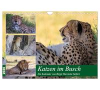 Katzen im Busch (Wandkalender 2026 DIN A4 quer), CALVENDO Monatskalender: Großkatzen im Okavango Delta