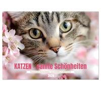 Katzen - sanfte Schönheiten (Wandkalender 2026 DIN A2 quer), CALVENDO Monatskalender: Lassen Sie sich jeden Monat aufs Neue durch die wunderbare Welt der Katzen verzaubern.