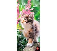 Katzen slim - Auf sanften Calendario 2024