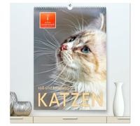 Katzen - süß und kuschelig (hochwertiger Premium Wandkalender 2026 DIN A2 hoch), Kunstdruck in Hochglanz: Wunderschöne Kätzchen-Bilder.