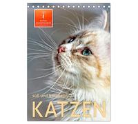 Katzen - süß und kuschelig (Tischkalender 2026 DIN A5 hoch), CALVENDO Monatskalender: Wunderschöne Kätzchen-Bilder.