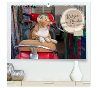 Katzen von Rhodos - Kleine Götter auf vier Pfoten (hochwertiger Premium Wandkalender 2026 DIN A2 quer), Kunstdruck in Hochglanz: Straßenkatzen von ... für Katzen- und Griechenlandliebhaber.