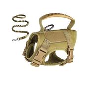 Katzengeschirr Groß Ausbruchsicher - Atmungsaktive Mesh-Weste Mit Griff | Verstellbares Softgeschirr Für Große Katzen & Kleine Hunde, Sicher Für Spaziergänge Reisen Camping & Training