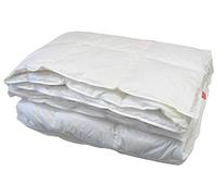 KAUFFMANN 100% PIUMINO D ' OCA EUROPEA MICHELANGELO 600 LETTO PIAZZA E MEZZA CM 200 X 220 (peso INVERNALE)