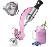 Frullatore Elettrico A Mano 1000 W Argentato Pc-sm 1094