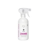 Kavalier Shiny House Glass Glow - Spray non Aerosol, Superfici Pulite e Brillanti, Senza Aloni, Specchi e Finestre Brillanti, per Tutte le Superfici in Vetro e gli Infissi, facile Applicazione - 500ml
