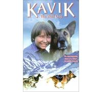 Kavik the Wolf Dog
