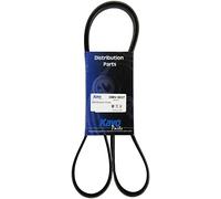 KAVO PARTS DMV-9037 Cinghia servizi
