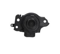 KAVO PARTS Supporto motore
