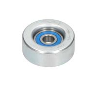 KAVO PARTS DIP-10003 Galoppino guidacinghia, cinghia Poly-V