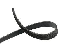 KAVO PARTS DMV-9005 Cinghia servizi