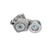 KAVO PARTS DTP-5504 Rullo tenditore cinghia Poly-V