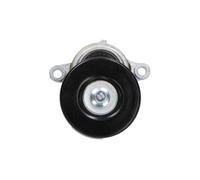 Kavo DTP-8501 - Rullo Tenditore, Cinghia Poly-V