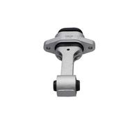 KAVO PARTS EEM-10381 Supporto motore