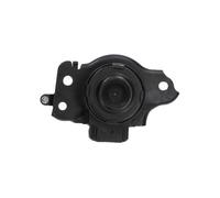 KAVO PARTS Supporto motore