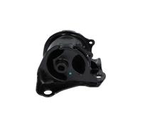 KAVO PARTS Supporto motore