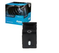 KAVO PARTS Supporto motore