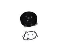 KAVO PARTS HW-1061 Pompa acqua