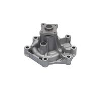 KAVO PARTS HW-1079 Pompa acqua