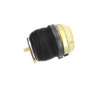 KAVO PARTS SAS-10009 Molla pneumatica