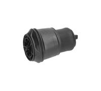 KAVO PARTS SAS-10024 Molla pneumatica