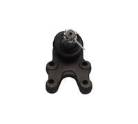 KAVO PARTS SBJ-6521 Testina braccio oscillante