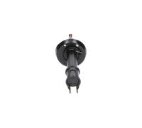 KAVO PARTS SSA-10192 Ammortizzatore