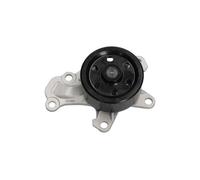 KAVO PARTS TW-5165 Pompa acqua