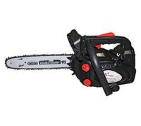 Motosega Da Potatura Con Motore 25,4cc A Benzina 2 Tempi, Barra e Catena Oregon