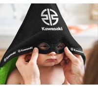 Kawasaki Baby Ninja Telo