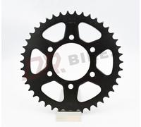 Kawasaki GPZ400X 83-93 Pignone Posteriore In Acciaio AFAM 16403-42