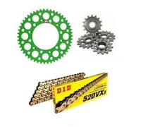 Kawasaki KDX250D1/D2/D3/D4 1991-1994 Kit Catena DID VXGB E Pignone Verde Renthal