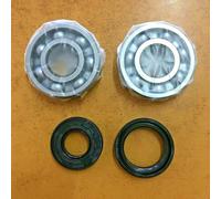 KAWASAKI KX 125 1988-2008 KIT REVISIONE ALBERO MOTORE CUSCINETTI + PARAOLI