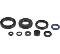 SERIE PARAOLIO PARAOLI MOTORE ATHENA PER KAWASAKI KX 125 cc DAL 1994 AL 2008