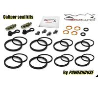 Kawasaki Vulcan 2000 Classic Lt J8F 2008 Pinza Freno Anteriore Guarnizione Kit